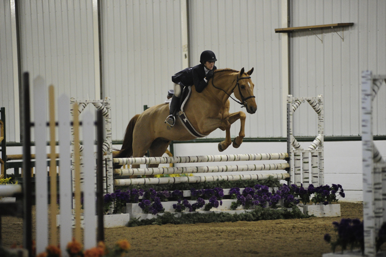 Country Ridge Stables Premiere Hunter/Jumper Facility in Lake County
