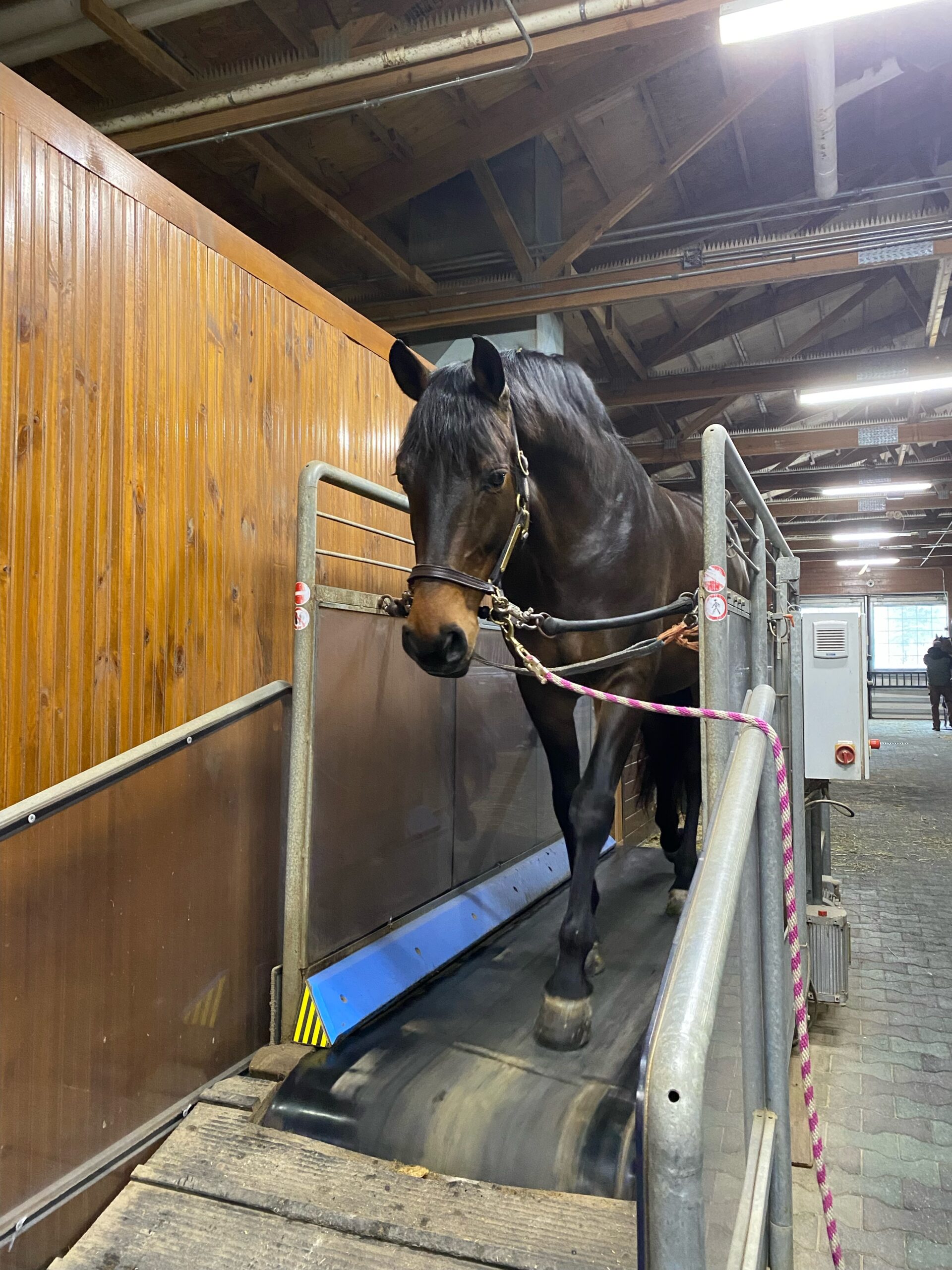 Boarding - Country Ridge Stables